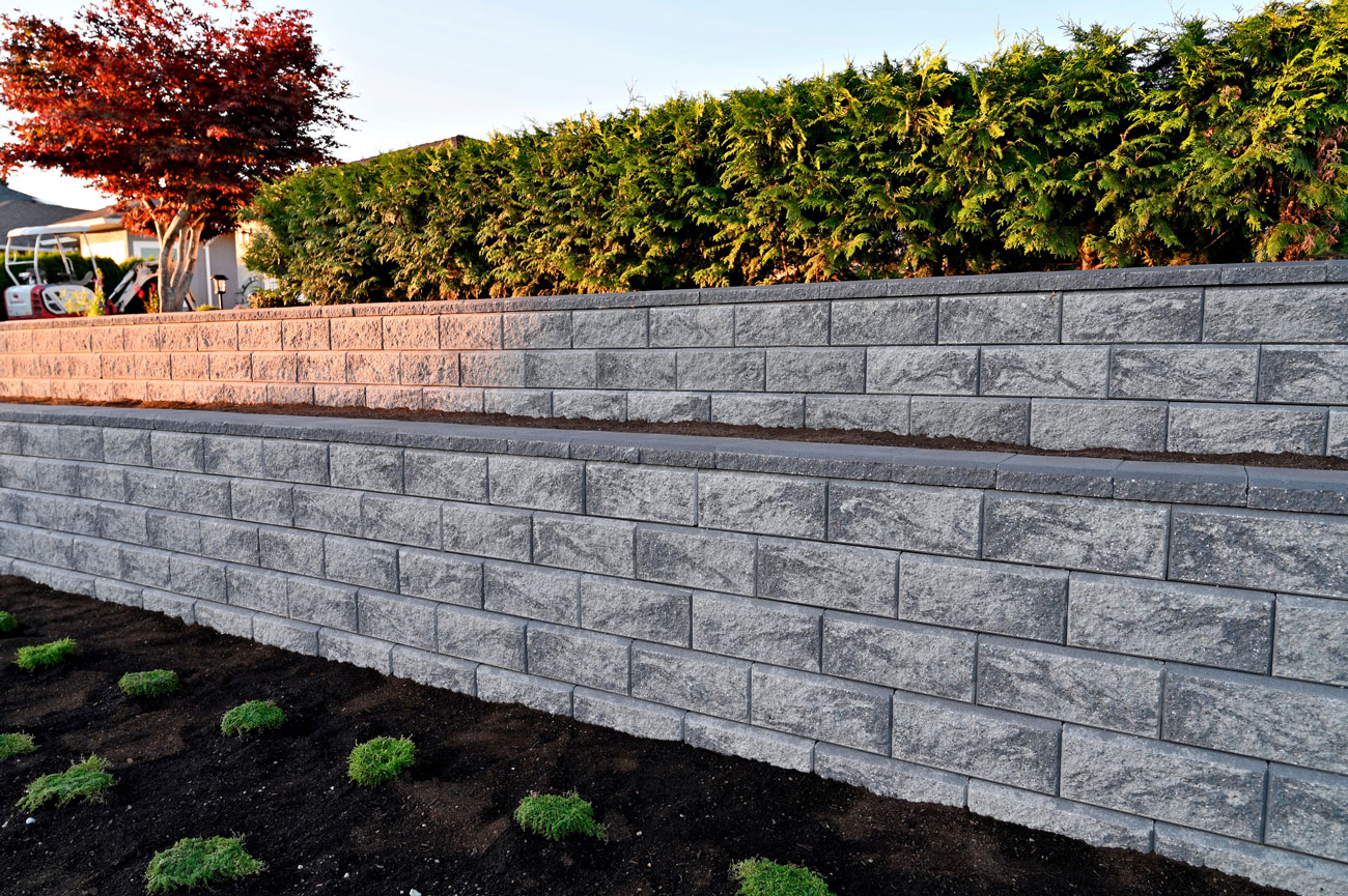 A sturdy, multi-tiered retaining wall constructed from gray stone blocks, featuring a flat top for seating and planting. The wall is surrounded by fresh soil and newly planted greenery, with a backdrop of dense evergreen shrubs and a red tree, showcasing professional hardscaping.